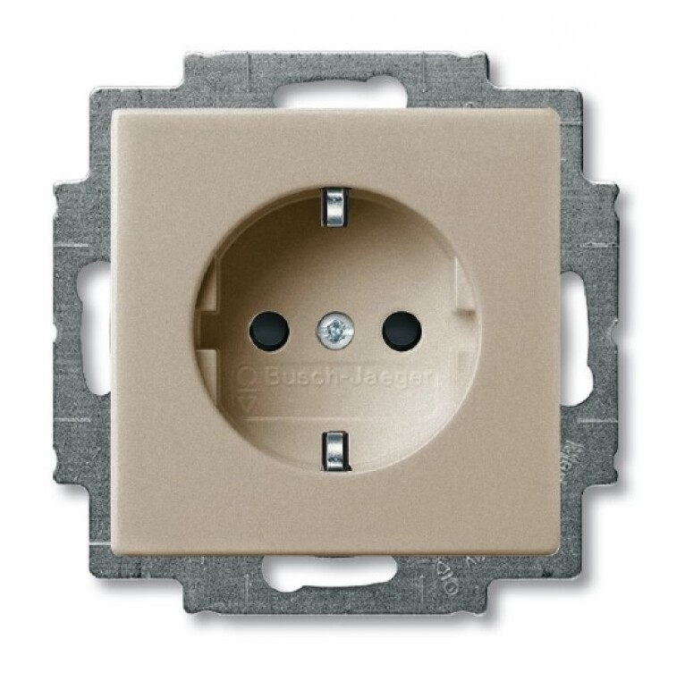 ABB Basic55 Шампань Розетка с з/к винт. заж в Москве