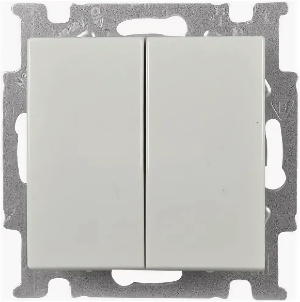 ABB Basic55 2CKA001012A2154 Выключатель двухклавишный (10 А, подсветка, под рамку, скрытая установка, альпийский белый) в Москве