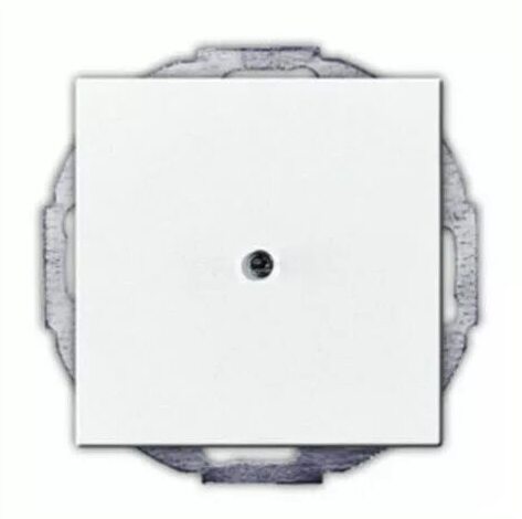 ABB Basic55 2CKA001710A3772 Вывод кабеля (под рамку, с/у, альпийский белый) в Москве