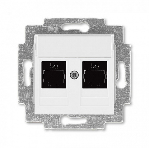ABB Levit Розетка информационная двойная 2хRJ45 категория 5e белый 2CHH295118A6003 в Москве